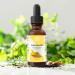 Relaxcation Pure Camelina Oil | Cold Pressed Natural Oil for Face Hair Nails & Body | Lightweight Extract to Promote Elasticity & Softness | Vegan Hexane-Free Unrefined (2 oz) 2 Fl Oz (Pack of 1) - Buy Online on GoSupps.com