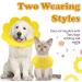 Shop Adjustable Soft Protective Collar for Cats & Dogs - Recovery Sore Crane Collar - 2 Pieces (Yellow Size S) - Buy Online on GoSupps.com