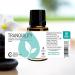Rocky Mountain Oils Tranquility Essential Oil Blend | Promote Restful Nights | 15ml | Diffuser & Topical Use - Buy Online on GoSupps.com