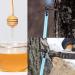 Maple Syrup Taps with 24in Tubes 12 Set Food Grade Non-Slip Maple Syrup Tapping Kit L-Shaped Tree Taps for Syrup Maple Syrup Supplies - Buy Online on GoSupps.com