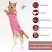 Shop Actoys Cozy Cat Hoodies | Warm Hooded Sweaters & Winter Clothing for Cats - Buy Online on GoSupps.com