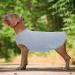 Buy Hjumarayan Washable Dog Sweater - Lightweight Striped Shirts for Large & Medium Dogs - Elastic Design Light Blue XXL - Buy Online on GoSupps.com