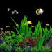 16 PCS Lancare Aquarium Plants Decoration - Artificial Green Aquatic Plants for Aquariums - Perfect for Stunning Underwater Landscapes - Buy Online on GoSupps.com
