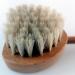 Natural Beechwood Scratching Brush | Bristle Back Scratcher & Massage Brush | Eco-Friendly Grooming Tool - Buy Online on GoSupps.com