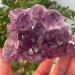 Choice of Gifts 40-120g Natural Dream Amethyst Quartz Crystal Cluster Specimen Vibration Stone Crystal Cluster (Size : 80-100g) - Buy Online on GoSupps.com