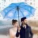 NOOFORMER 62 Inch Windproof Waterproof Golf Umbrella - Extra Large Double Canopy Vented Stick Umbrella for Men Women - A4-Sky Color - Buy Online on GoSupps.com