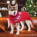 Katzinst Christmas Dog Sweater for Small Breeds | Fleece Sweater for French Bulldogs Dachshunds Chihuahuas & Yorkshires in Red - Buy Online on GoSupps.com