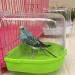 POPETPOP Caged Bird Bath for Small Birds - Hanging Bathtub Box for Canary, Parrot - White/Green - Buy Online on GoSupps.com