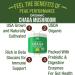 Organic Chaga Mushroom Powder - USA Grown for Energy & Digestion Support - Vegan Bulk Extract for Tea & Coffee - Buy Online on GoSupps.com