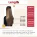 Hair Toppers for Women Clip in Hair Extensions Human Hair Balayage Dark Brown to Brown Mix with Blonde Clip in Seamless Hair Extensions Human Hair Ombre Hair Extensions Clip in #4/10/16 Messy Hair Bun 20inches 100g/Set - Buy Online on GoSupps.com