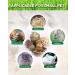 Pweituoet Rabbit Toys for Small Animals - 100% Natural Handmade Chew Treats for Bunny, Hamster, Guinea Pig, Chinchilla, Rat | Variety of 14 Types - Buy Online on GoSupps.com