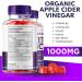 Rize Labs Biocut Keto ACV Gummies - 60 Gummies for Weight Loss | Bio Cut Official - Buy Online on GoSupps.com