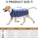 Dog Recovery Suit Surgical Recovery Suit for Dogs Cats After Surgery Dog Recovery Shirt for Female Male Dog Cone E-Collar Alternative Pet Vest Post Operative Abdominal Wounds Protector Prevent Licking Large - Buy Online on GoSupps.com