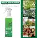 Saddgo Plant Nutrient Solution BudFertilizer Succulent Plant Bursting Element Foliars Color Enhancement Planting Supplies 100ml Plastic - Buy Online on GoSupps.com