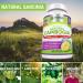 100% Pure Garcinia Cambogia Extract | Natural Appetite Suppressant for Weight Management | Potent 70% HCA Formula for Rapid Fat Loss | Men & Women - Buy Online on GoSupps.com