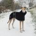 Greyhound Whippet Lurcher Fleece Coat - M Navy Blue - Warm Winter Jacket with Adjustable Bands for Salukis - Buy Online on GoSupps.com