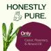 Buy Plant Therapy Rosemary & Castor Oil - 4 oz Hair Treatment for Growth Shine & Softness | Healthy Scalp & Hair Mask - International Shipping Available - Buy Online on GoSupps.com