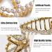 Threaded Gold Pearl Hair Claw for Thick Hair - Strong Hold Jaw Clips for Women - Fashion Hair Accessory Gift - Buy Online on GoSupps.com