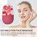 Ice Face Mold - Face and Body Roller Ice Cube Roller Reusable Silicone Ice Facial Roller | De-Puff Eye Bags Facial Beauty Roller Skin Care Tools Facial Tool for Double Chin Eyes Neck Tightening Pink - Buy Online on GoSupps.com