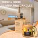 TRINIDa Orange & Vanilla Scented Odor Eliminating Candles Gift Set for Women - Natural Soy, Premium Fragrance - Eliminates 99% of Pet Smoke & Other Odors Quickly - Buy Online on GoSupps.com