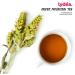 Lydea Organic Greek Mountain Tea 250g Traditional & Authentic Greek Loose Leaf Sideritis Herbal Tea Naturally Caffeine Free Practically Cut - Buy Online on GoSupps.com
