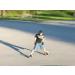 Inventist Orbitwheel | Red and Black | Innovative Skates for Fun and Fitness - Buy Online on GoSupps.com