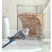 Kenond Automatic Bird Feeder - No-Mess Finch Foraging Feeders - Acrylic Parrot Integrated Seed Feeder - Small Birds Cage Accessories (2 Pack) - Buy Online on GoSupps.com