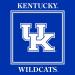 Westrick Kentucky Wildcats Party Supplies - 48 Pieces (Serves 16) - Buy Online on GoSupps.com
