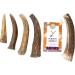 Naftie Deer Antler Bar for Small Dogs & Puppies - Long Lasting Dental Care Snack - Low Odor Antler Whole Piece - Buy Online on GoSupps.com