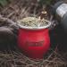 Taragui Yerba Mate Tea Citricos del Litoral 1.5kg | Authentic Argentine Mate | Detox & Energy Drink | 12-Month Ripening - Buy Online on GoSupps.com