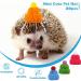 20 Pcs Pet Snake Hat with Adjustable Elastic Chin Strap  Small Reptile Animal Hamster Knitted Hat Pompon Mini Hats for Pets Snake Ball Python Lizard Guinea Pig Chameleon Iguanas Accessories Decoration - Buy Online on GoSupps.com