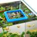 WEAVERBIRD 2PCS Fish Feeding Ring Fish Safe Floating Food Feeder Circle Blue with Suction Cup Easy to Install Aquarium Square and Round Shape for Guppy Betta Goldfish - Buy Online on GoSupps.com