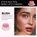 Cheek Blush Stick | Cream Blush Stick for Lips and Eyes - Moisturizing Jelly Texture with Instant Lip Colour for Daily and Party Use for Women and Girls - Buy Online on GoSupps.com