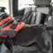 80cm Dog Seat Belt for Car | Dog Safety Belt & Leash | Adjustable Car Strap for Dogs - Buy Online on GoSupps.com