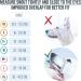 Gentle Muzzle Guard for Dogs - Prevents Biting and Unwanted Chewing Safely New Secure Comfort Fit - Soft Neoprene Padding No More Chafing Included Training Guide Helps Build Bonds with Pet (S+ Pink) Pink S+ (Pack of 1) - Buy Online on GoSupps.com