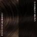 Youngsee Clip In Extensions - 55cm Real Hair Ombre Brown 120g (7PCs) - Premium Clip-In Extensions for Women - Buy Online on GoSupps.com