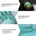 Dishwashing Gloves | Reusable Silicone Dishwashing Gloves | Dish Scrubber and Protective Gloves for Kitchen Bathroom Car Pet Care Umifica - Buy Online on GoSupps.com