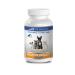 pet Urinary Support - Healthy Urinary Complex - for Dogs and Cats - Advanced Support - CHEWABLE - Cranberry Supplement for Cats - 1 Bottle (90 Chews)
