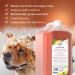 Buy WAHL Copper Tones Pet Shampoo - International Shipping Available | Premium Pet Care - Buy Online on GoSupps.com