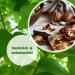 Buy Fruit Shipping24 French Walnuts (Grenobler) - 1kg Thick Sorting 32/+ Untreated Fresh & Aromatic Latest Harvest - Buy Online on GoSupps.com