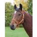 Buy Kerbl Nylon Halter Hippo - Adjustable Nylon Halters for Pony Shetty Full and XFull in 6 Colors - Durable Large Navy/Light Blue Options - Buy Online on GoSupps.com