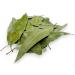 Dried Eucalyptus Leaves 85g - 1.95Kg Premium Quality Eucalyptus Globulus (220 grams)