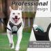 Eagloo Small Dog Harness - Adjustable Anti-Train Reflective Harness for Walking & Jogging - Durable Gray Breast Harness for Small Dogs (1 Pack) - Buy Online on GoSupps.com