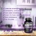 Elderberry Capsules with Zinc & Vitamin C - 120 Capsules for Immune Support & Skin Health - Buy Online on GoSupps.com