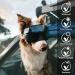 Ownpets Dog Goggles with Magnetic & Replaceable Lenses for UV, Wind, Dust, Snow Protection (Medium/Large Dogs) - Buy Online on GoSupps.com