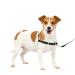 PetSafe Easy Walk Harness Anti-Pull Dog Harness Reduces Choking and Coughing With 1.8M Leash Size S Black S Black