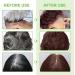 CCKULOOB Hair dye black hair color shampoo 3in1 hair color shampoo with herbal extracts natural coverage of gray hair Hair Color shampoo for dry hair long lasting 500 ml chestnut brown - Buy Online on GoSupps.com