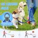 Buy Slowton Adjustable Double Dog Leash for 2 Dogs - 360 Rotatable & Reflective - Light Blue for Small Dogs (3-9 kg) - Buy Online on GoSupps.com