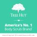 Tree Hut Shea Sugar Scrub Coconut Lime 18oz (Pack of 3) - 3 Pack Coconut Lime Scrub 1.125lb Total - Buy Online on GoSupps.com