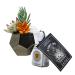 Bath & Body Works Plug Geo Succulent Nightlight Wallflowers Fragrance Plug and a Strawberry Lip Balm. - Buy Online on GoSupps.com